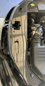 Carbon Fiber Radiator Cover /Chrysler300 C, S, 392, 2015-2021 - American Stanced